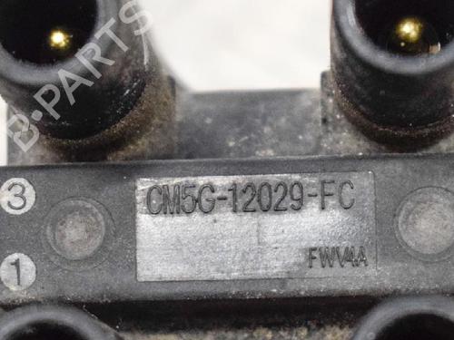 Ignition coil FORD FIESTA VI (CB1, CCN) 1.25 | BP6747081M94 
