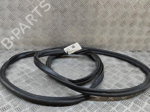 Used Rubber door seal BMW X3 (G01, F97, G08) xDrive 20 i (184 hp) 26239860