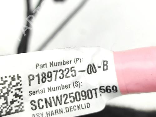 Wiring harness TESLA MODEL 3 (5YJ3) EV | BP34190634E16  - Image 6