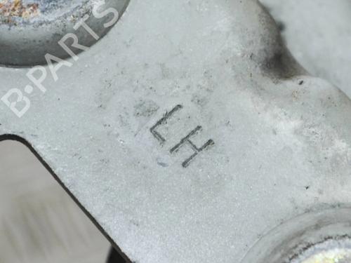 Hinge/Door check strap LAND ROVER RANGE ROVER III (L322) 4.4 4x4 | BP14637054C146