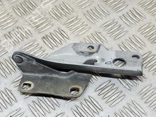 Hinge/Door check strap NISSAN PATHFINDER III (R51) 2.5 dCi | BP14629957C146 