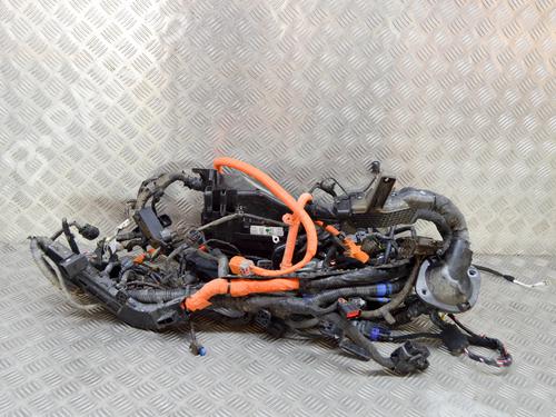 Used Wiring harness Wiring harness HYUNDAI IONIQ (AE) Electric (120 hp) 14649527 14649527