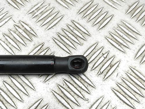 Hood lift support LAND ROVER DISCOVERY SPORT (L550) 2.0 D 4x4 | BP30596159C139