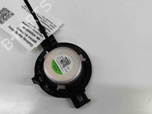 Speaker AUDI E-TRON (GEN) 55 quattro | BP29404608E2