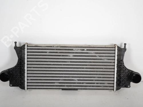 Used Intercooler MERCEDES-BENZ E-CLASS (W213) AMG E 63 S 4-matic+ (213.089) (612 hp) 30235071