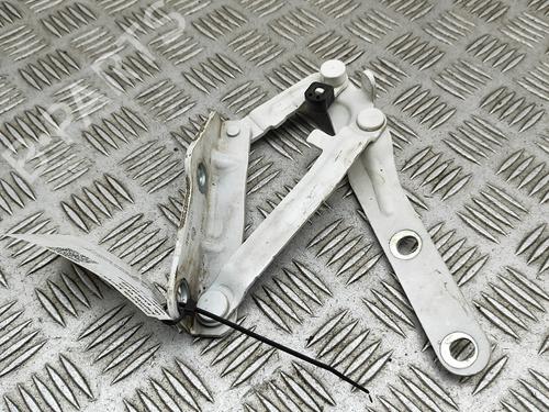 Hinge/Door check strap VW TRANSPORTER T6 Van (SGA, SGH, SHA, SHH) 2.0 TDI | BP29920509C146