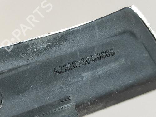Door moulding trim MERCEDES-BENZ S-CLASS (W222, V222, X222) S 300 BlueTEC Hybrid / h (222.004, 222.104) | BP17015438C150 