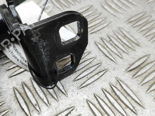 Hinge/Door check strap TESLA MODEL S (5YJS) P100D AWD | BP32238982C146 