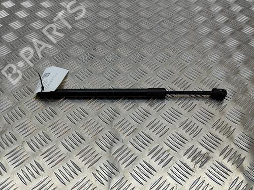 Hood lift support BMW 7 (G11, G12) 730 d, Ld | BP19501020C139 