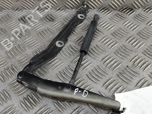 Hinge/Door check strap PORSCHE BOXSTER (986) 2.5 | BP27331283C146 