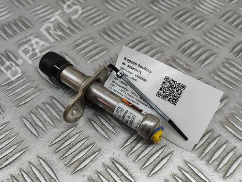 Elektronisk modul TESLA MODEL S (5YJS) 70D AWD | BP24975134M83 