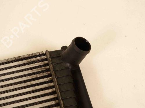 Ladeluftkühler LAND ROVER RANGE ROVER III (L322) 3.6 D 4x4 | BP30209461M30