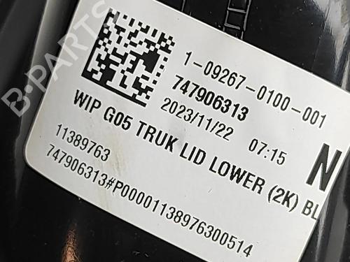 Boot lining BMW X5 (G05, F95) xDrive 30 d Mild-Hybrid | BP32500910I3