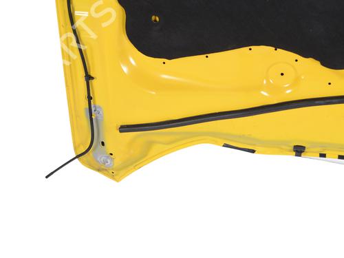 Hood FORD USA MUSTANG Convertible 5.0 V8 | BP30242025C1