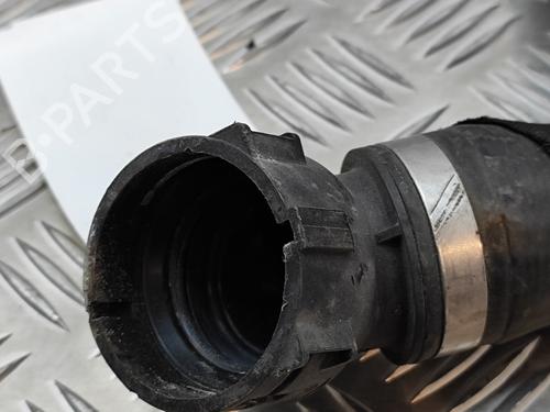 Pipe BMW 7 (G11, G12) 730 d | BP19501335M125 