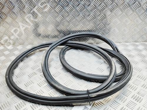 Gummiliste BMW X7 (G07) xDrive 40 i Mild Hybrid | BP33390028C142 - Image 6