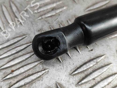 Tailgate lift support TOYOTA C-HR (_X2_, _H2_) Hybrid (MAXH20) | BP27795694C138