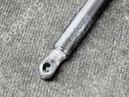 Tailgate lift support TESLA MODEL 3 (5YJ3) EV | BP27748320C138 - Image 3