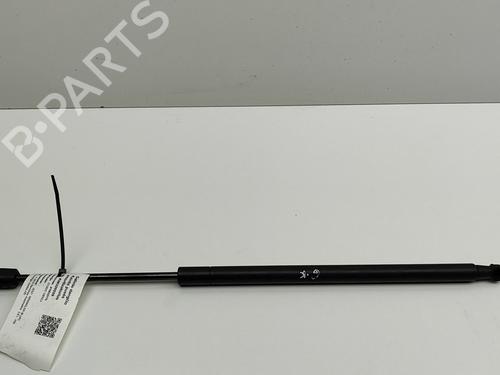 Tailgate lift support JEEP WRANGLER III (JK) 3.6 V6 | BP26003438C138 