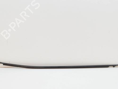 Door moulding trim JAGUAR I-PACE (X590) EV400 AWD | BP27760281C150 