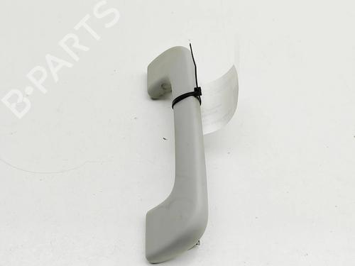 Interior roof handle VW AMAROK (2HA, 2HB, S1B, S6B, S7A, S7B, AGD) 2.0 BiTDI 4motion | BP31314920I35