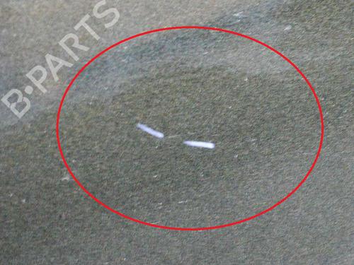 Left front door LAND ROVER DISCOVERY III (L319) 2.7 TD 4x4 | BP10073303C2 
