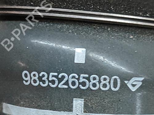 Pipe CITROËN C4 III (BA_, BB_, BC_) 1.2 PureTech 130 (BAHNSA, BAHNSB) | BP28557907M125