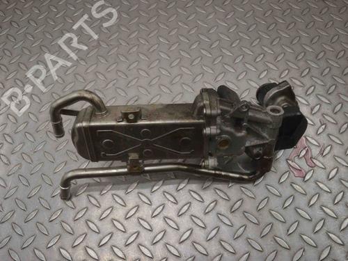 Egr NISSAN X-TRAIL III (T32_, T32R, T32RR) 1.6 DIG-T (T32) | BP30247386M69