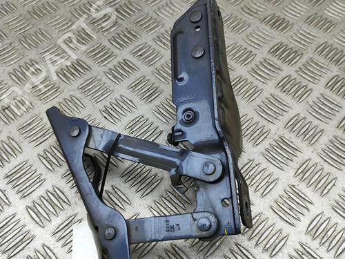 Hinge/Door check strap TESLA MODEL S (5YJS) P100D AWD | BP30394312C146