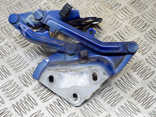Hinge/Door check strap VW TOUAREG (7LA, 7L6, 7L7) 3.2 V6 | BP14635097C146 