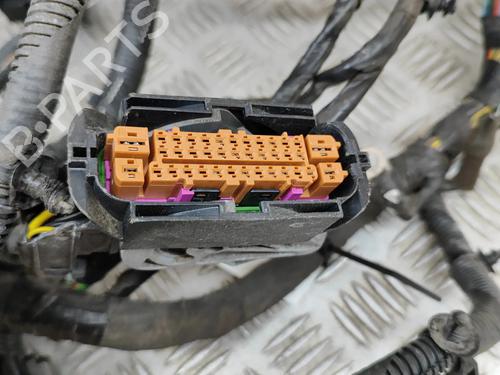 Wiring harness LAND ROVER RANGE ROVER SPORT II (L494) 3.0 SDV6 4x4 | BP27773271E16 