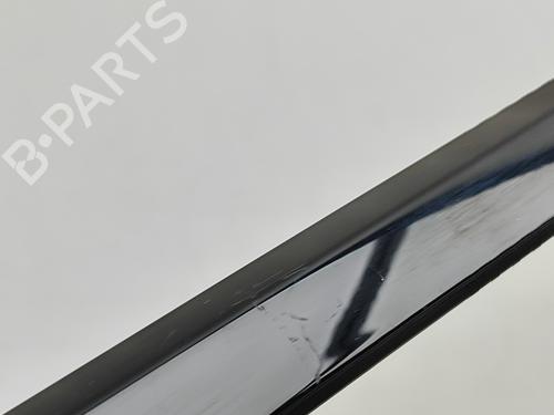 Door moulding trim LAND ROVER RANGE ROVER SPORT II (L494) 4.4 SDV8 4x4 | BP29830119C150 