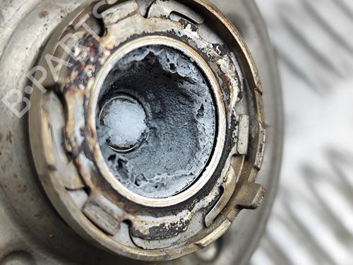 Injector LAND ROVER DISCOVERY V (L462) 3.0 Td6 4x4 | BP30130895M100