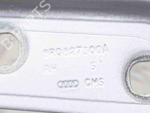 Hinge/Door check strap AUDI Q5 (8RB) 3.0 TFSI quattro | BP14619246C146