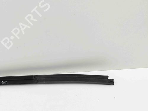 Door moulding trim BMW X3 (G01, F97, G08) xDrive M40 i | BP29487645C150 
