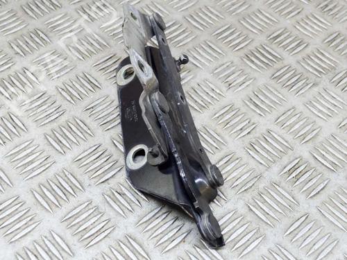 Hinge/Door check strap LAND ROVER RANGE ROVER EVOQUE (L538) 2.0 D 4x4 | BP14644586C146 