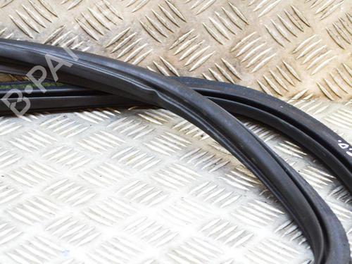 Rubber door seal AUDI Q5 (FYB, FYG) 2.0 TDI quattro | BP14645859C142