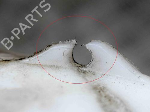 Windscreen washer tank CITROËN C3 Pluriel (HB_) 1.6 | BP29226919C113 