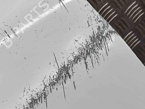 Left front fenders NISSAN QASHQAI III (J12) 1.3 DIG-T All-wheel Drive | BP29890777C41