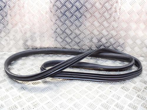 Gummiliste RENAULT ZOE (BFM_) ZOE (88 hp) 14620028