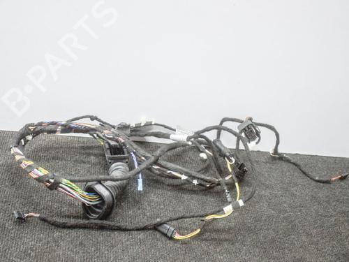 Wiring harness BMW 4 Coupe (F32, F82) M4 Competition | BP14614764E16 