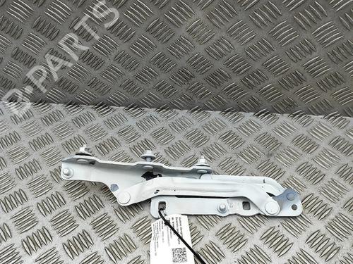hingedoor-check-strap-tesla-model-3-5yj3-2017-27748007 main image