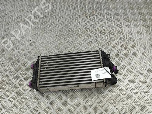 Used Intercooler CITROËN C4 III (BA_, BB_, BC_) 1.2 PureTech 130 (BAHNSA, BAHNSB) (130 hp) 28557099