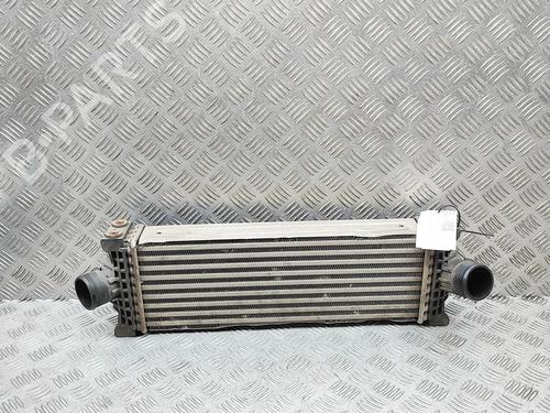 Intercooler Intercooler FORD TRANSIT CUSTOM V362 Bus (F3) 2.0 EcoBlue (130 hp) 36644866 36644866