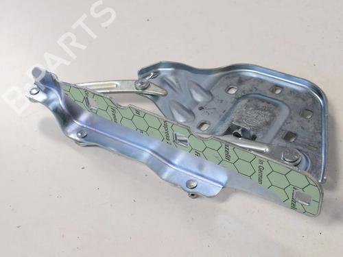 Hinge/Door check strap LAND ROVER RANGE ROVER VELAR (L560) 2.0 P300 Si4 4x4 | BP30207907C146