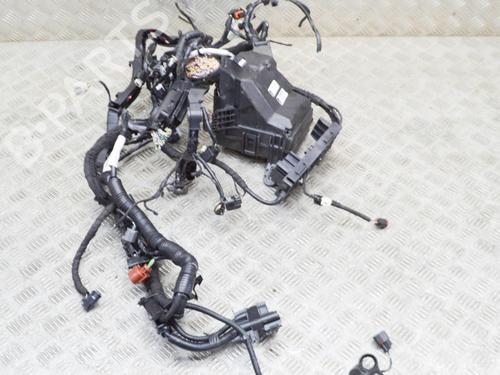 Wiring harness FORD ECOSPORT 1.0 EcoBoost | BP14652237E16 