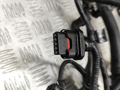 Wiring harness BMW 3 Touring (F31) 320 d | BP30256501E16 