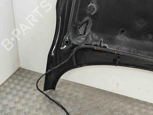Hood LAND ROVER RANGE ROVER EVOQUE (L538) 2.0 D 4x4 | BP29637513C1 