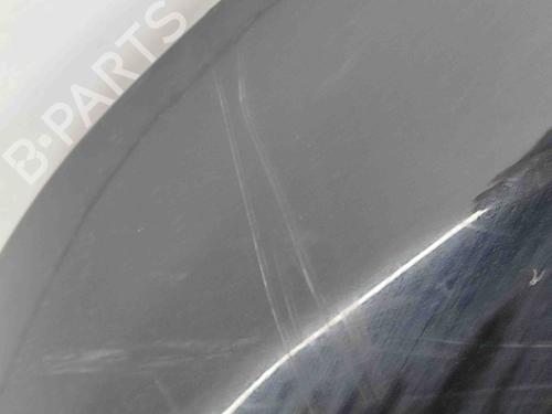 Hood LAND ROVER RANGE ROVER EVOQUE (L538) 2.0 D 4x4 | BP29637513C1 
