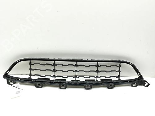 Used Grille Grille BMW X6 (F16, F86) M (575 hp) 40166784 40166784